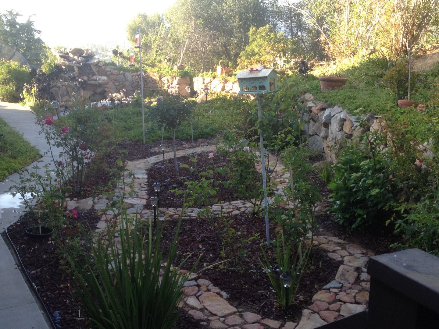 2406 photo 28